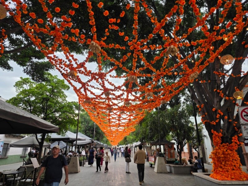 GOBIERNO DE ZAPOPAN&nbsp;