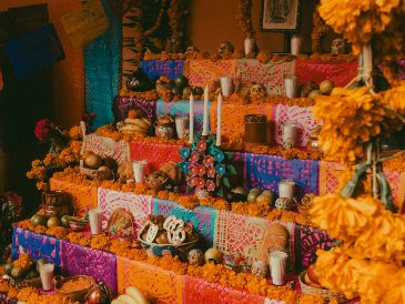 Ante la visita de tu amada mascota es vital que su altar contenga los elementos que más disfrutaba durante su vida terrenal. Unsplash