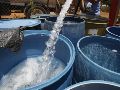 La propuesta del CICEJ incluye aprovechar agua tratada para usos industriales y urbanos, captar agua de lluvia y recuperar cuerpos de agua. EFE/ARCHIVO
