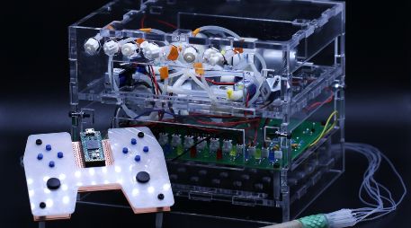 El propósito del equipo del MIT fue diseñar un enteroscopio que sea más fácil de controlar y que pueda desplazarse más rápidamente por el intestino. MIT (Instituto Tecnológico de Massachusetts)