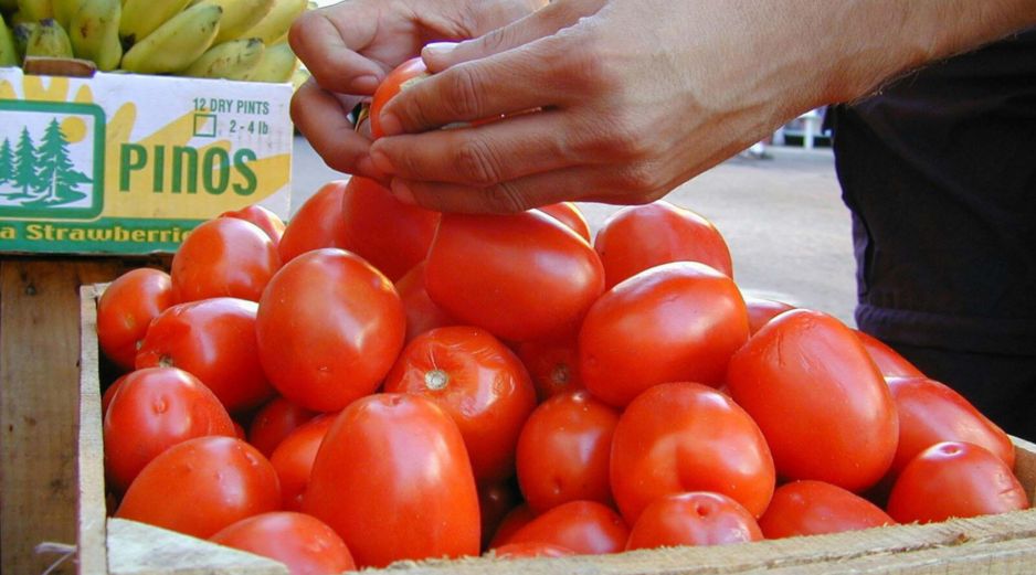 Para Ebrard, la medida no benefició a los productores de Florida pero sí permitió que otros países ganaran terreno en el mercado estadounidense. SUN/ARCHIVO