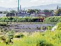 Las Pintas. La Conagua y el Gobierno de Jalisco mantienen operativos para frenar la contaminación. EL INFORMADOR/A. Navarro
