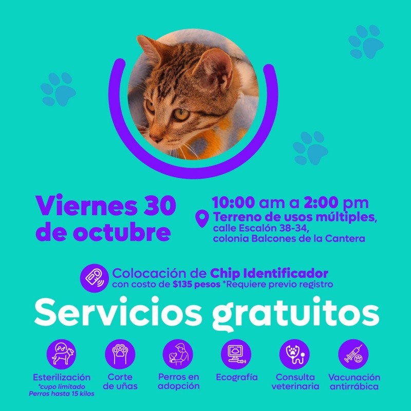CORTESÍA/ Protección Animal Zapopan. 