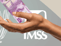 Los trabajadores afectados por las nuevas restricciones a la Modalidad 40 del IMSS pueden recurrir al amparo indirecto para impugnar las medidas y solicitar a un juez federal que les permita continuar cotizando bajo las condiciones anteriores. ESPECIAL / CANVA
