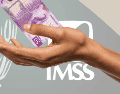 Los trabajadores afectados por las nuevas restricciones a la Modalidad 40 del IMSS pueden recurrir al amparo indirecto para impugnar las medidas y solicitar a un juez federal que les permita continuar cotizando bajo las condiciones anteriores. ESPECIAL / CANVA