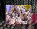 Previo al 2 de noviembre, los mexicanos comenzamos la "cacería" por el pan de muerto más blandito, el más dulce, el que tenga mejor relleno y el más barato. EL INFORMADOR / SUN / ARCHIVO