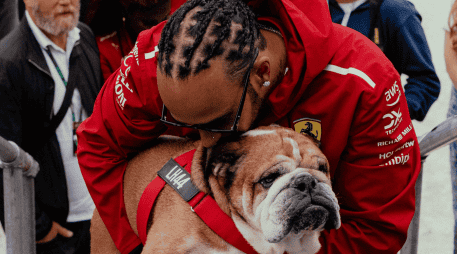 La Fórmula 1 rinde un conmovedor homenaje a Roscoe, el fallecido perrito de Lewis Hamilton. ESPECIAL/ INSTAGRAM/ @lewishamilton