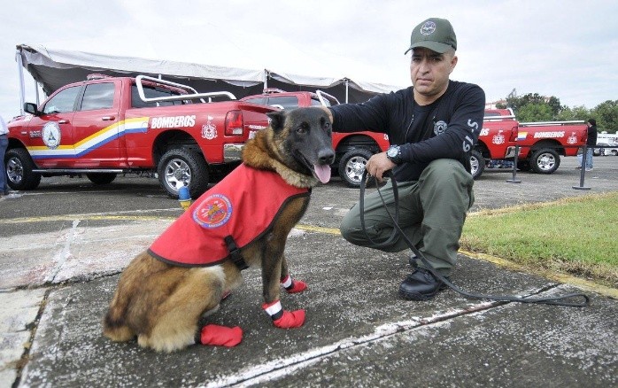 Los cuatro binomios caninos ayudaron en el rescate de 12 personas y la recuperación de 15 cadáveres. TWITTER / @AristotelesSD