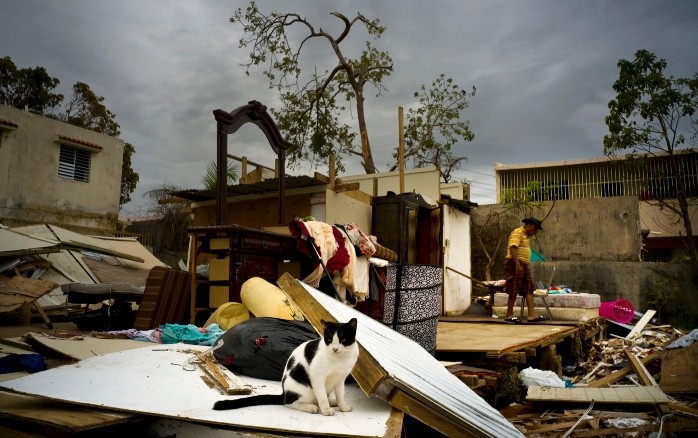 Se espera que el destrozo dejado por “María” impulse a miles de puertorriqueños a abandonar la isla para instalarse en Estados Unidos. AP / R. Espinosa