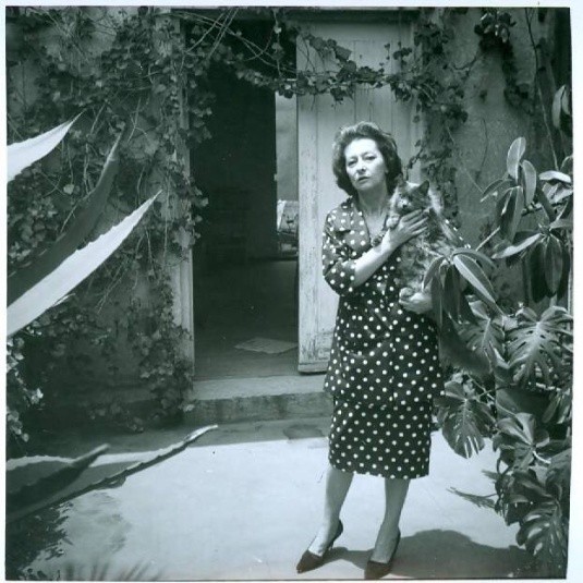 TWITTER / @RemediosVaroMx