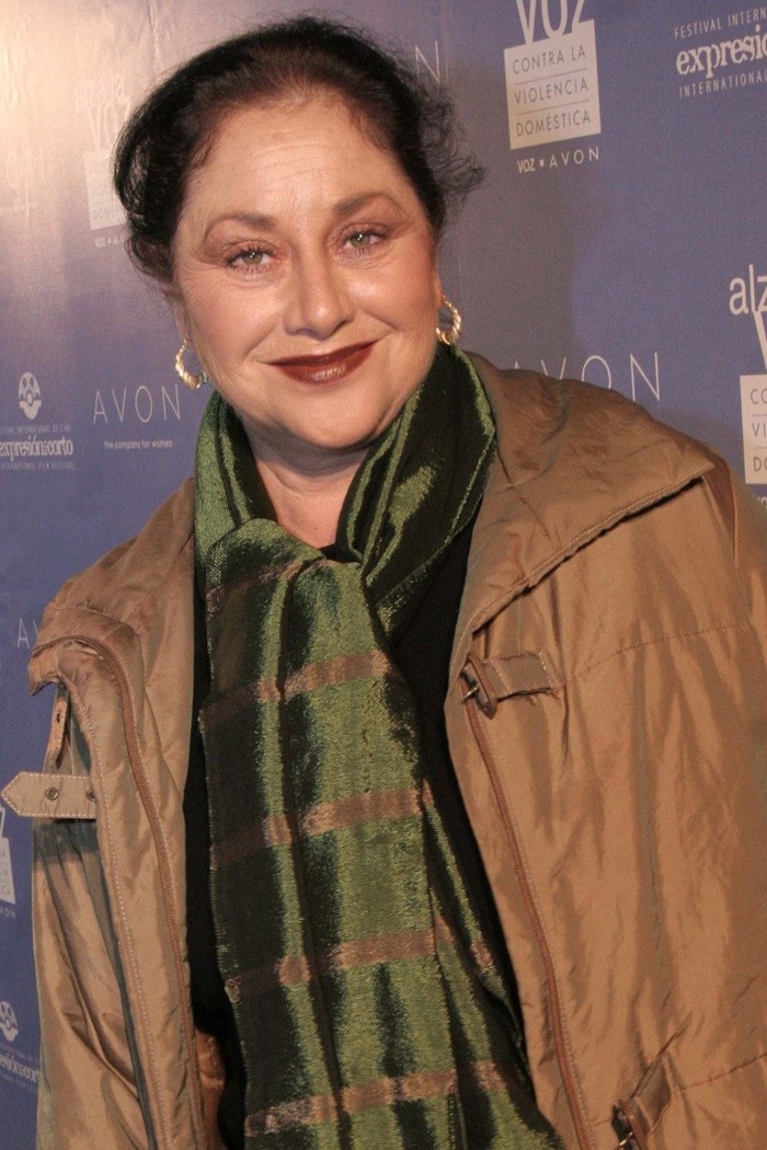 Vicente Fernández ¿Quiénes son los actores