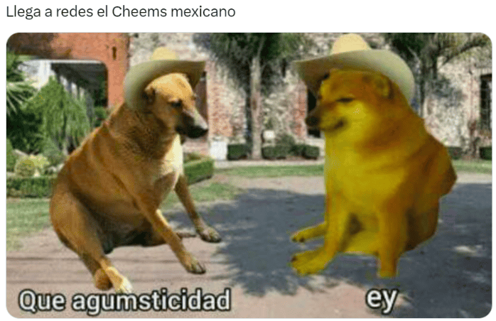 Surge el "cheems mexicano" y desata ola de memes en redes