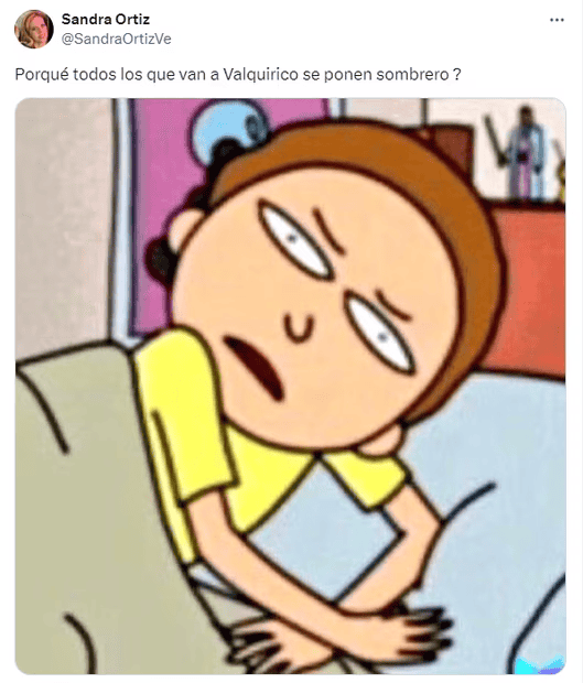 Estos son los mejores memes de Val'Quirico.&nbsp;X -TWITTER-