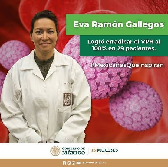 &nbsp;GOBIERNO DE MÉXICO.