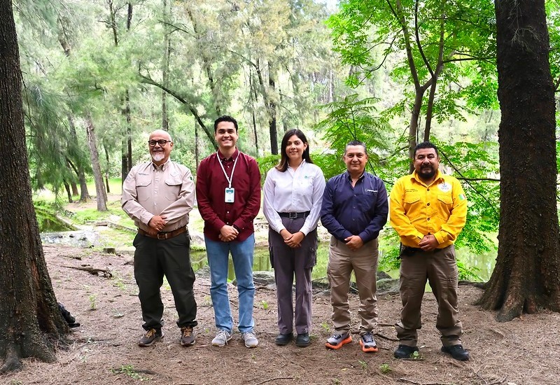 &nbsp;ESPECIAL / GESTIÓN DEL TERRITORIO JALISCO