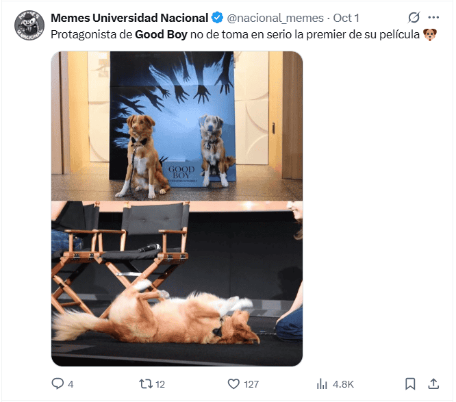  Indy, el protagonista de 