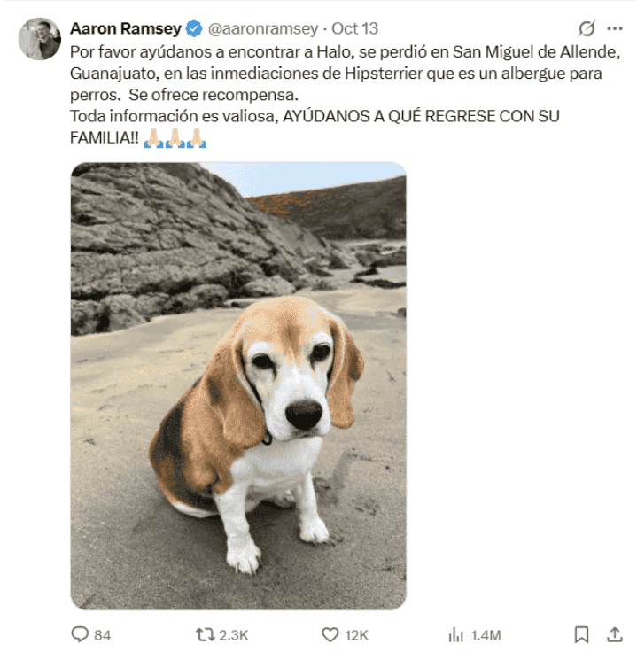  El jugador de Pumas pide ayuda para encontrar a su perro. X / @aaronramsey