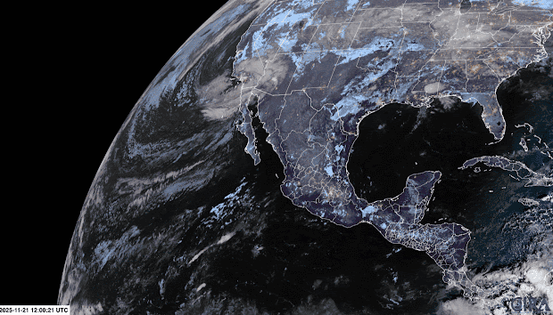 ESPECIAL / IAM&nbsp;