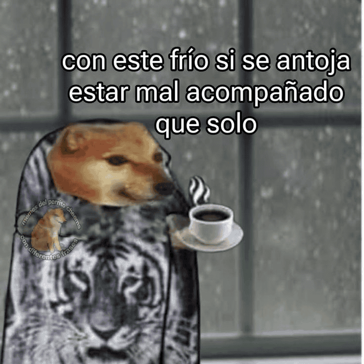 ESPECIAL / INTERNET&nbsp;&nbsp;