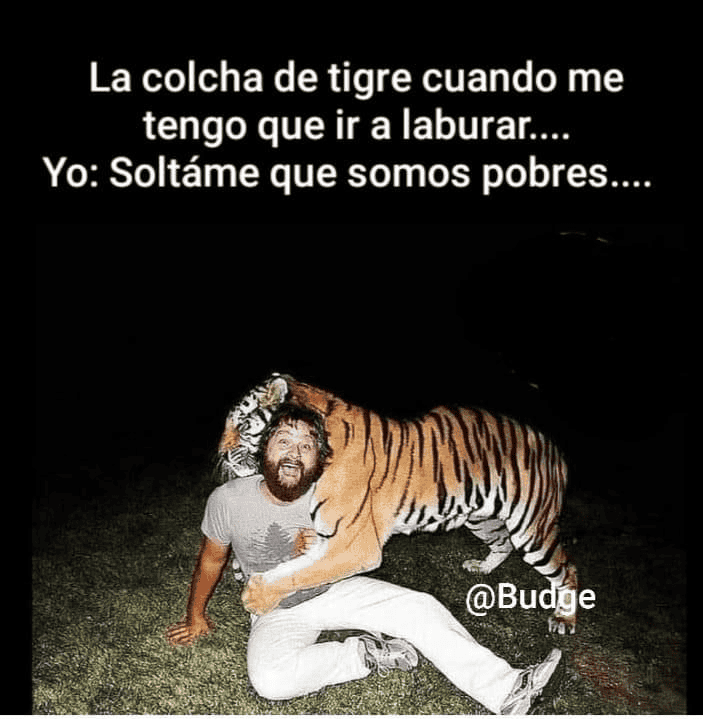 ESPECIAL / INTERNET&nbsp;&nbsp;