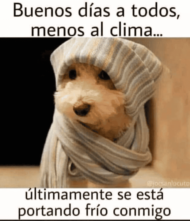 ESPECIAL / INTERNET&nbsp;&nbsp;