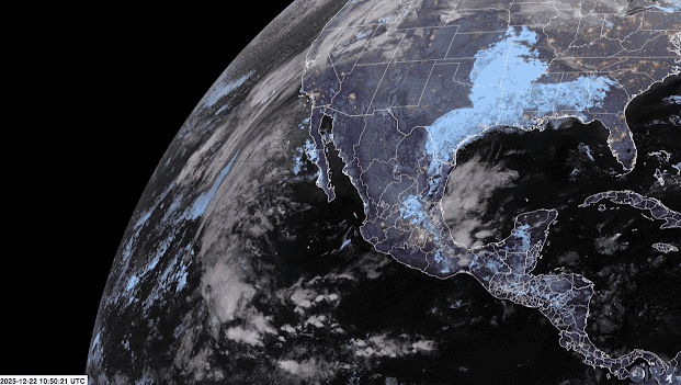 ESPECIAL / IAM&nbsp;