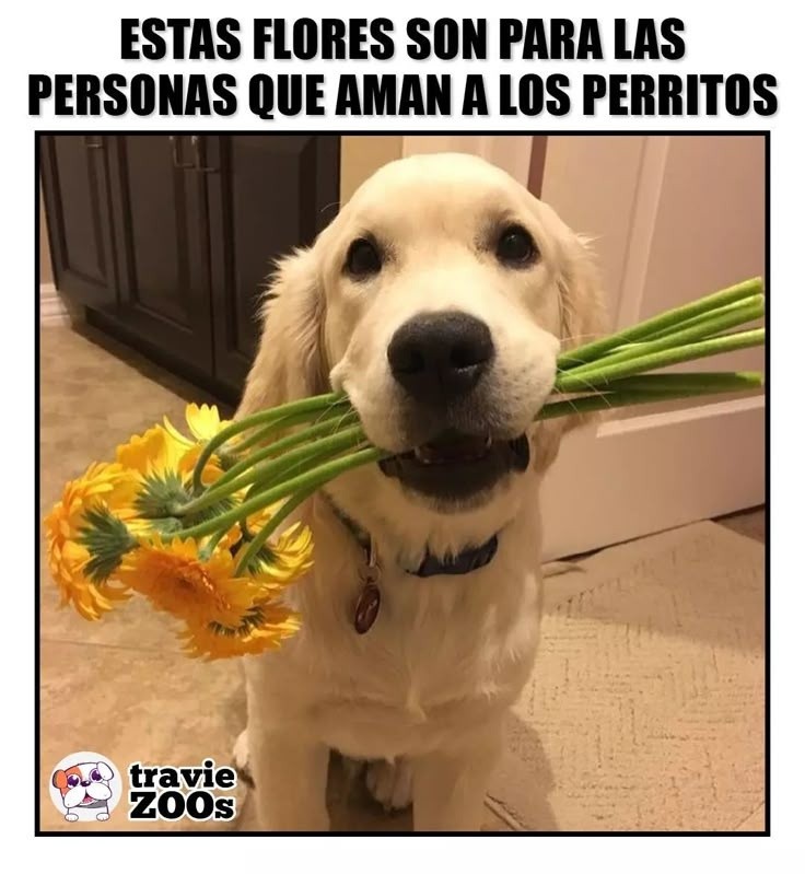 ESPECIAL / INTERNET&nbsp;&nbsp;