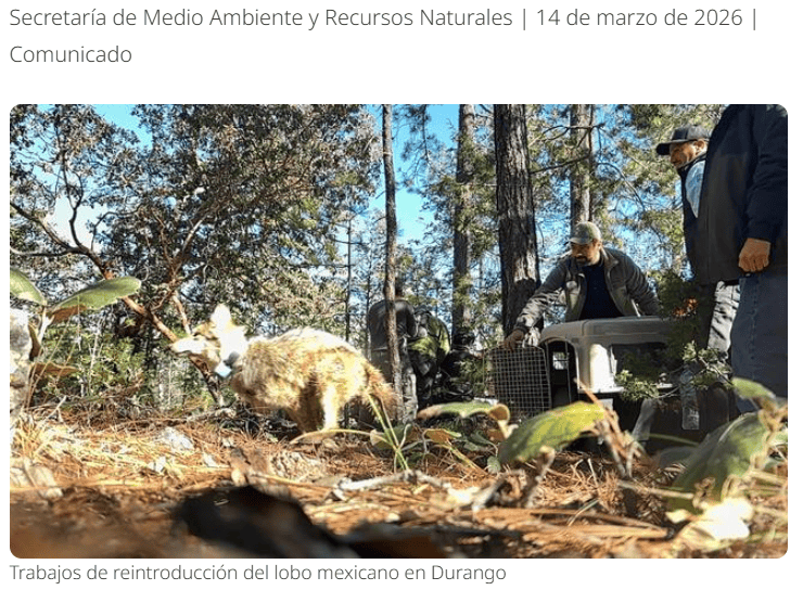 &nbsp;ESPECIAL / Semarnat