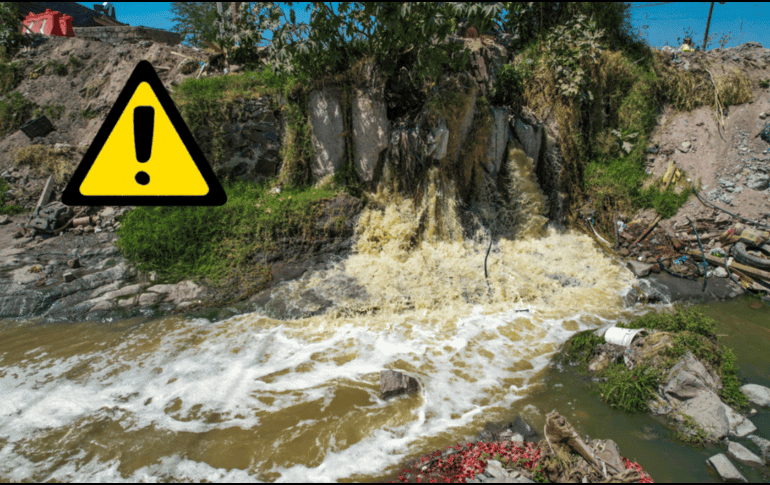 EL INFORMADOR / ARCHIVO