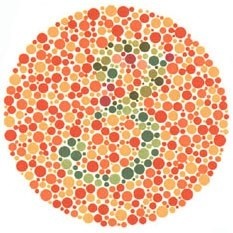 Los hombres &nbsp;basta con que hereden una única copia mutada del gen responsable en su cromosoma X. ESPECIAL