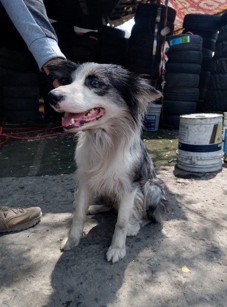 &nbsp;CORTESÍA/ Fiscalía de Jalisco.