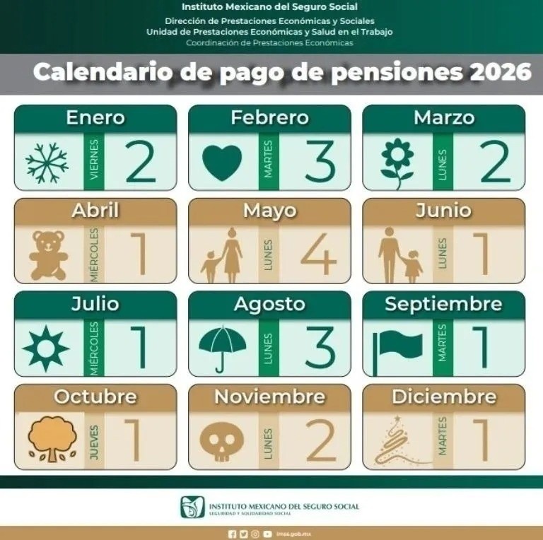 &nbsp;IMSS