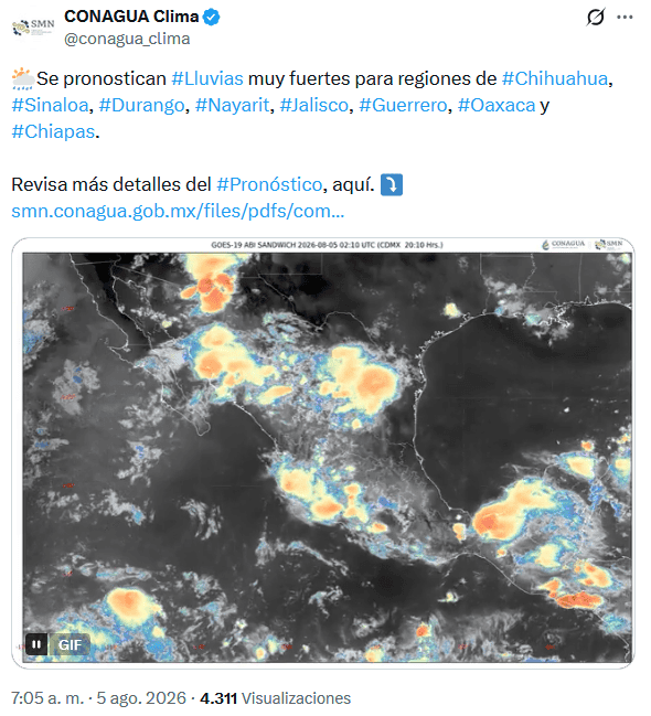 ESPECIAL / CANVA&nbsp;