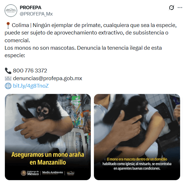 &nbsp;@PROFEPA_Mx