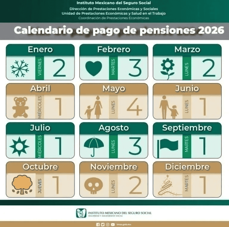 IMSS&nbsp;