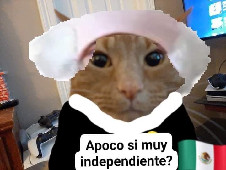 ESPECIAL / INTERNET&nbsp;