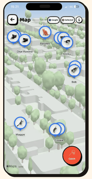 &nbsp;Cat Collector. app